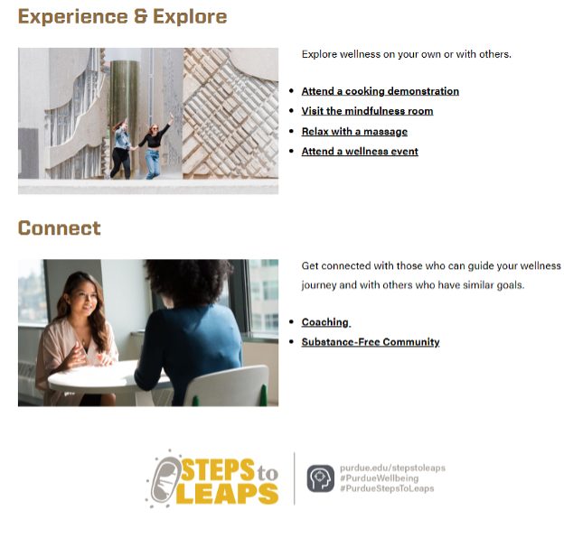 Example of Recreation and Wellness utilizing the Steps to Leaps branding.