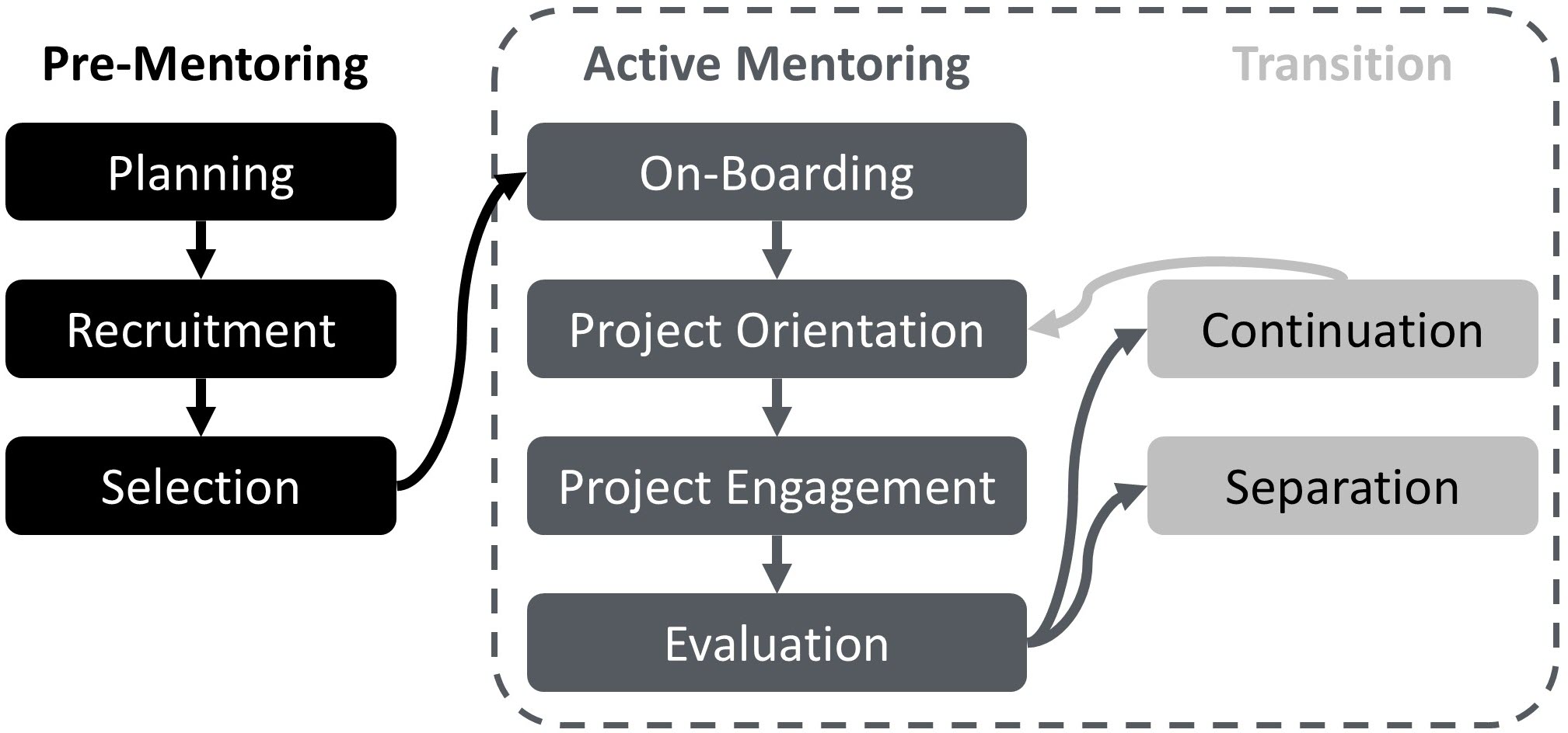 Figure showing the phases of mentoring