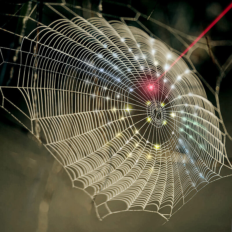 Innovation spins spider web architecture into 3D imaging technology -  Purdue University News