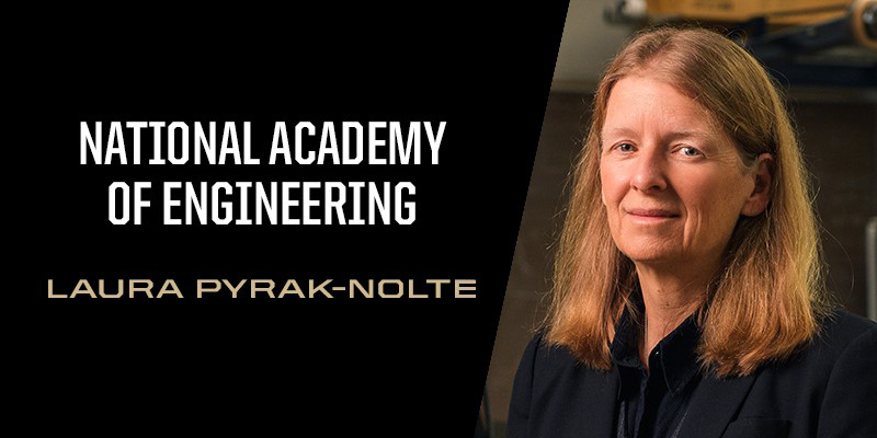 pyrak-nolte in national academy graphic