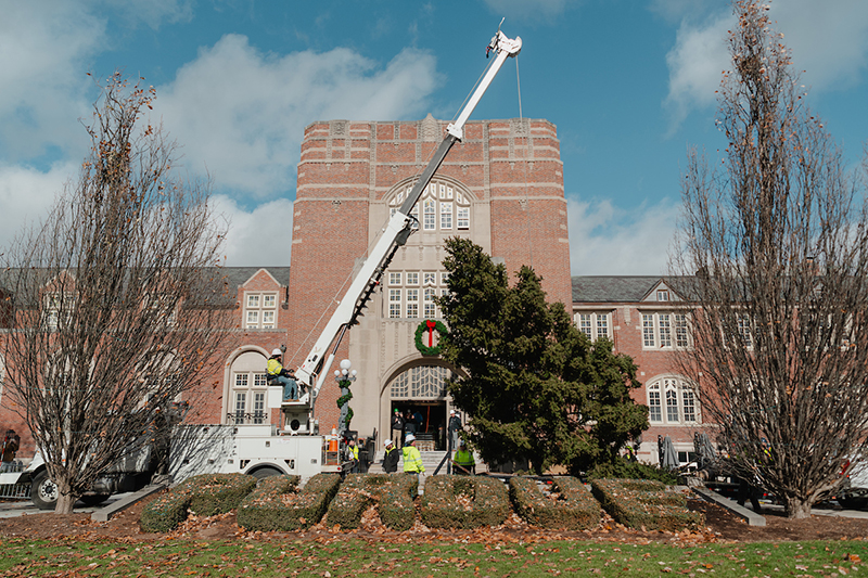 Tree arrives at Union