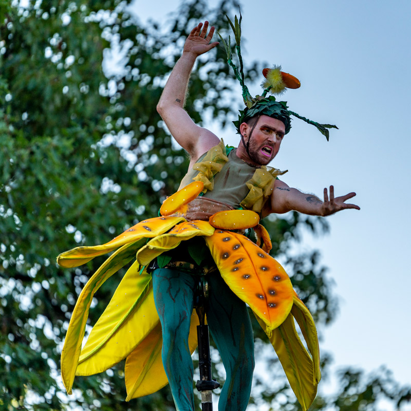 A performer on an elevated pole at the Convos Bloom Show.