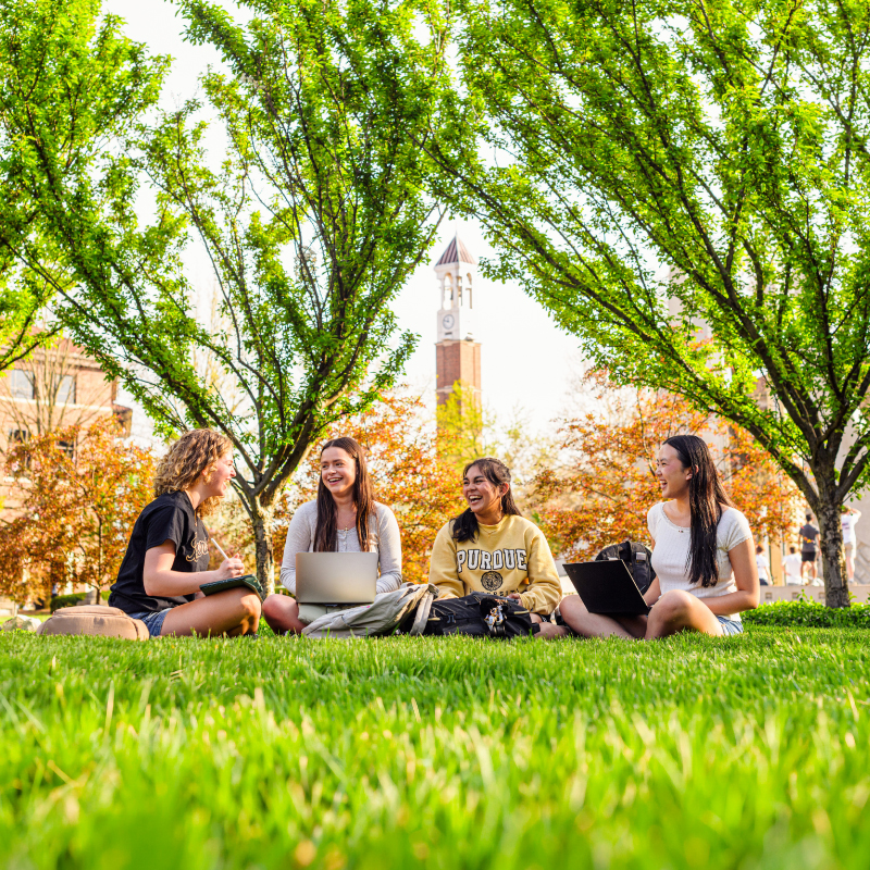 A group of students hanging out on the lawn